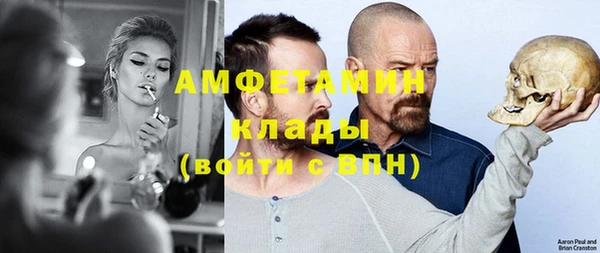 крисы Инта