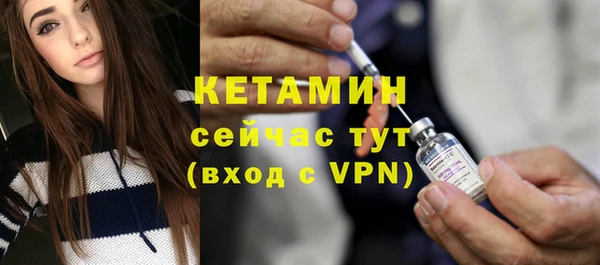 крисы Инта