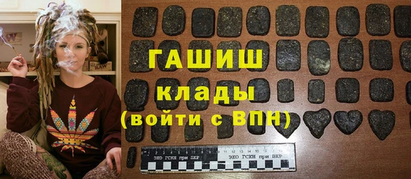 крисы Инта