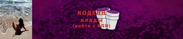 крисы Инта