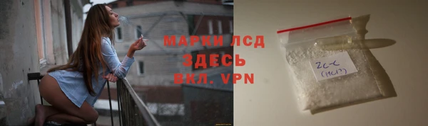 крисы Инта