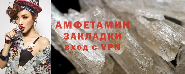 крисы Инта