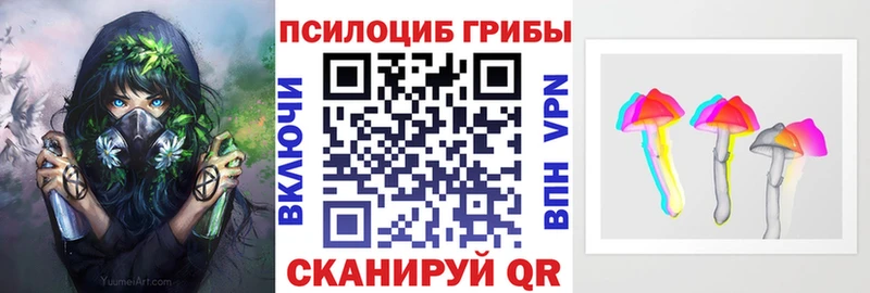 Псилоцибиновые грибы Cubensis  Купить закладки  Плавск 